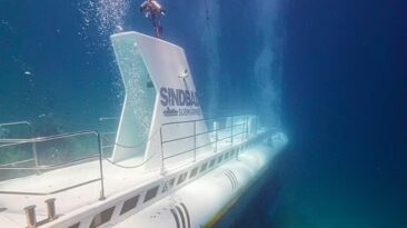 Tourist submarine sinks off Egypt coast with at least six confirmed dead