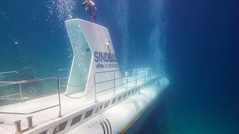 Tourist submarine sinks off Egypt coast with at least six confirmed dead